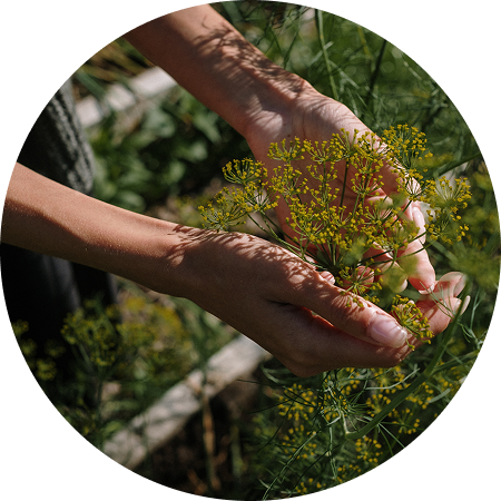 Quality Ingredients, 100% Artificial Free,  Transparent Sourcing.